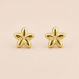 10kt gold star earrings